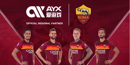 用这类大型
