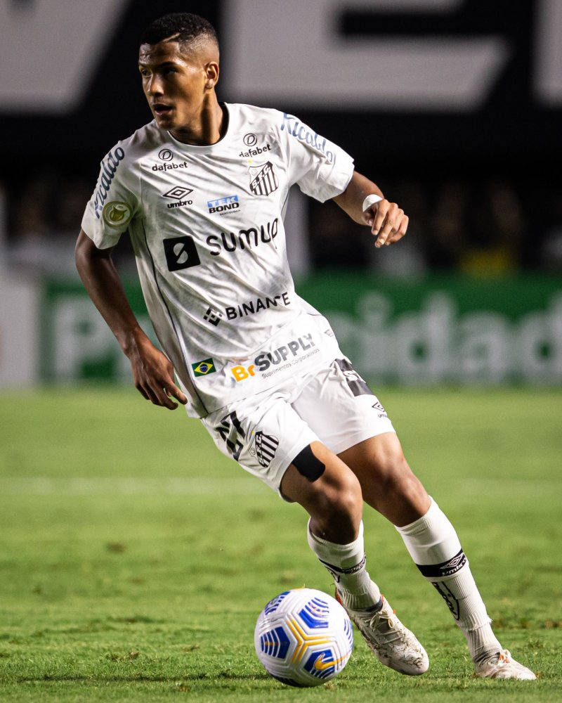 能够提供坚 能够提供坚